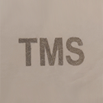 TMS TECHNOV M SYSTEMS P LIMITED